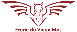 Ecurie Du Vieux Mas Stage D Equitation Saint Gilles Logo 1